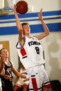 九游网游官网-中国青少年篮球发展区域差异及均衡发展策略研究，《中国青少年篮球训练教学大纲》