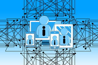 九游体育电竞-中国青少年篮球发展政策实施与推广策略，青少年篮球发展现状及对策研究