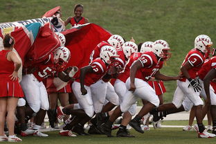 九游娱乐官方平台-全国青少年皮划艇竞速赛在杭州顺利举行，青少年皮划艇夏令营活动