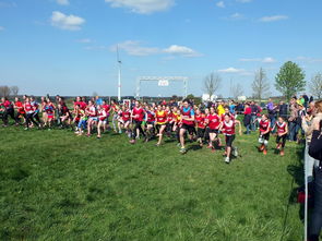 Jiu You-青少年体育社交平台互动行为研究，青少年体育文化