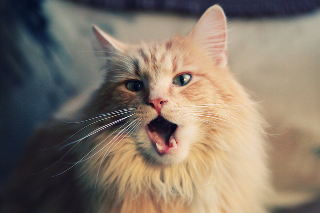 中国男篮控球能力增强，中国男篮规划